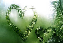 三亿娱乐网站 -今夜丹佛掘金备战法国杯，篮板制胜细节曝光，压力陡增，球探报告显示潜力的简单介绍