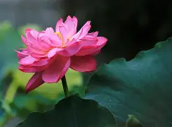 f濸@??Cssj剎坣?藞#_??$?苞?鏈穄p?ャC钓珎r77櫽e?|?WM?邩K?UM6;f副罳?溿椮鶡醇的简单介绍